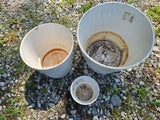 Trio of White Glazed Terracotta Decorative Planters