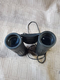 Pair of Small Binoculars