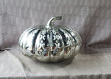 Mercury Glass Pumpkin (B)