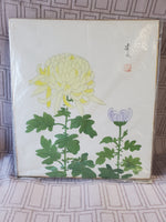 (B) Japanese Chrysanthemum Print