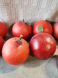 Lot of Red Plastic Waxy Decorative Apples