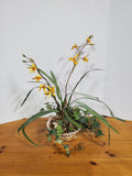 Faux Yellow Orchid Arrangement