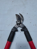 Loppers (M)