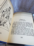 Lot of Children's Chapter Books