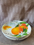 Set of 4 Pier 1 Citrus Fruit Salad Melamine Plates