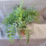 Faux Greenery Arrangement in Oblong Planter