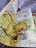 Lot of 4 Golden Nature Guide Books