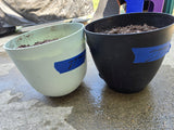 Two Plastic Self-Watering  Planters w/Dirt