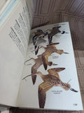 Lot of 4 Bird Field Guide Books
