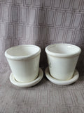 Pair of Ceramic "Basil" Planters