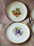 Set of 4 Hutschenreuther Selb Bavaria Fruit Salad Plates