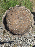 Two Piece Cement Bird Bath *Read Description*