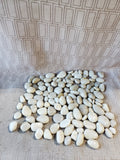 Lot of Polished River Rocks