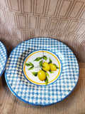 Set of 4 Colonial Williamsburg Lemon Melamine Salad Plates