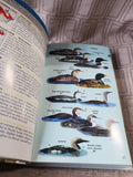 Pair of Field Guide to Birds of North America Books
