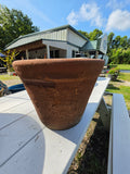 Medium Rustic Terracotta Planter