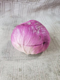 Ceramic Red Cabbage Trinker Box