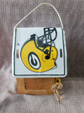 Green Bay Packers Bird House