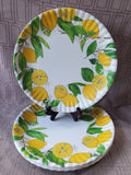 Set of 4 One Hundred 80° Plastic Lemon Salad Plates