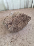 Medium Cement Bunny Garden Statue