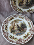Set of 4 Royal Stafford Turkey Dinner Plates