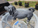 Faux Cement Basset Hound Garden Statue