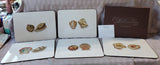 Lot of 5 Colonial Williamsburg "Shell Walk" Placemats (A)
