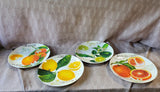 Set of 4 Pier 1 Citrus Fruit Salad Melamine Plates