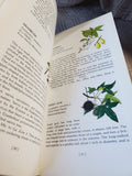 Lot of Colonial Garden Books