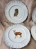 Set of 4 World Market Woodland Animal Salad Plates