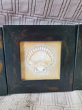 Lot of 3 Small Framed Seashell Prints