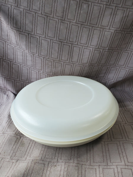 Vintage Tupperware Divided Vegetable Serving Tray