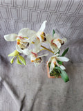 Faux Orchid Plant
