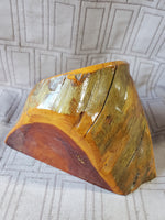(A) Embedded Coin Wood Stump