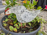 Metal Chicken Yard/Planter Decor