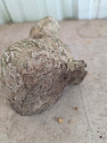 Scratching Cement Bunny Garden Statue