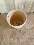Ecru Glazed Pottery Planter