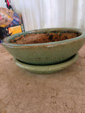 Green Glazed Terracotta Planter w/Saucer
