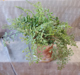 Faux Greenery Arrangement in Oblong Planter
