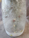 Glass Cardinal Lighted Jar
