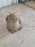 Cement Chubby Bunny Garden Statue