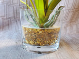 Faux Orchid Arrangement in Clear Glass Vase