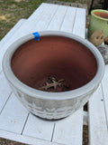 A-Large Light Grey Glazed Terracotta Planter w/Fixed Saucer