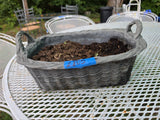 Basket Style Resin Planter w/Dirt