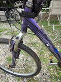 Raleigh Venture 3.0 Women's 16" Small Bike