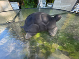 Black Cast Metal Turtle,  Garden Decor