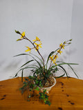 Faux Yellow Orchid Arrangement