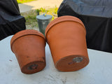 Duo of Terracotta Planters (two sets available, priced separately)