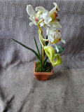 Faux Orchid Plant
