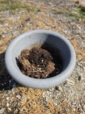 Faux Cement Plastic Planter w/Some Dirt (three available, priced separately)